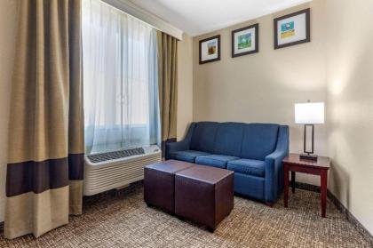 Comfort Suites Plano - Dallas North - image 14