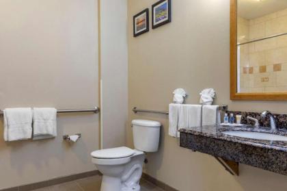 Comfort Suites Plano - Dallas North - image 15