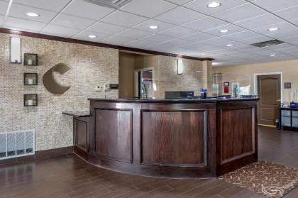 Comfort Suites Plano - Dallas North - image 11