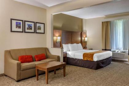 Comfort Suites Raleigh Walnut Creek - image 15