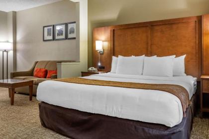 Comfort Suites Raleigh Walnut Creek - image 9