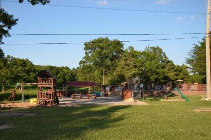 Amazing Premium Cabin HotTub Piano Near Shows Near Big Cedar Jacuzzi Tub - Great Getaway - image 8