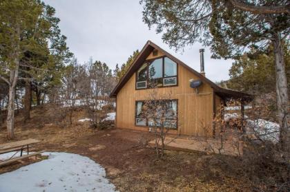 Singer Cabin #2 Ridgway