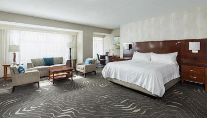 Rochester Marriott Mayo Clinic Area - image 9