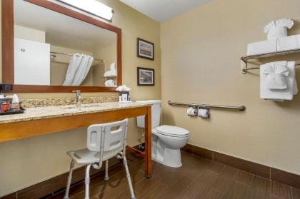 Comfort Inn & Suites SeaTac - image 10