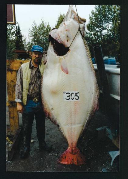 Alaska's Kenai Jim's Lodge & Guide Service - image 8