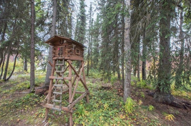 A Cabin by the Pond - image 4