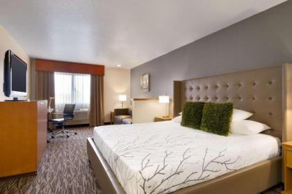 Best Western PLUS Peppertree Airport Inn - image 5