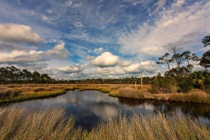 Steinhatchee River Inn and Marina - image 12