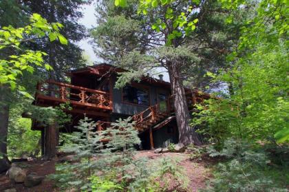 Treehouse on the Stream - image 6