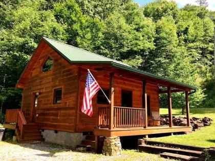 Cozy Cabin Surrounded By Streams