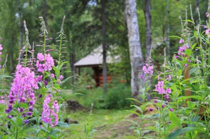 Meandering Moose Lodging - image 7