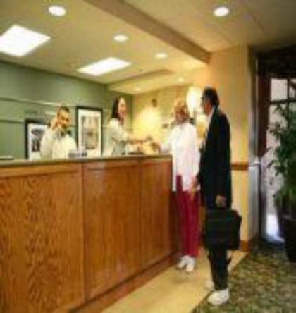 Hampton Inn and Suites - image 6