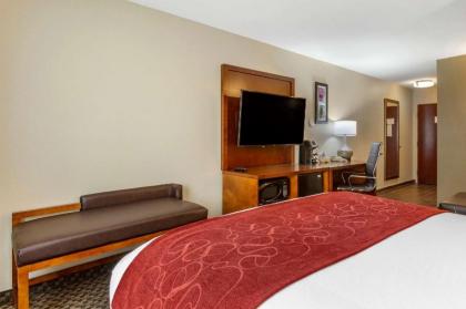 Comfort Suites Phoenix Airport - image 15