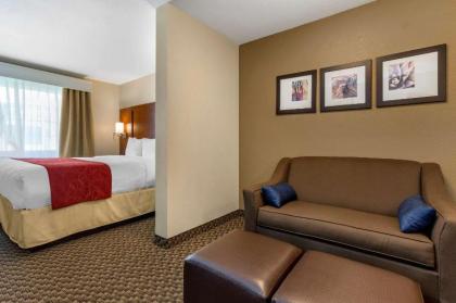 Comfort Suites Phoenix Airport - image 10