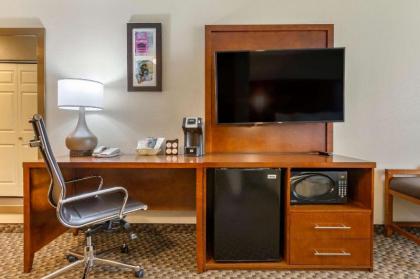 Comfort Suites Phoenix Airport - image 12