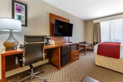 Comfort Suites Phoenix Airport - image 13