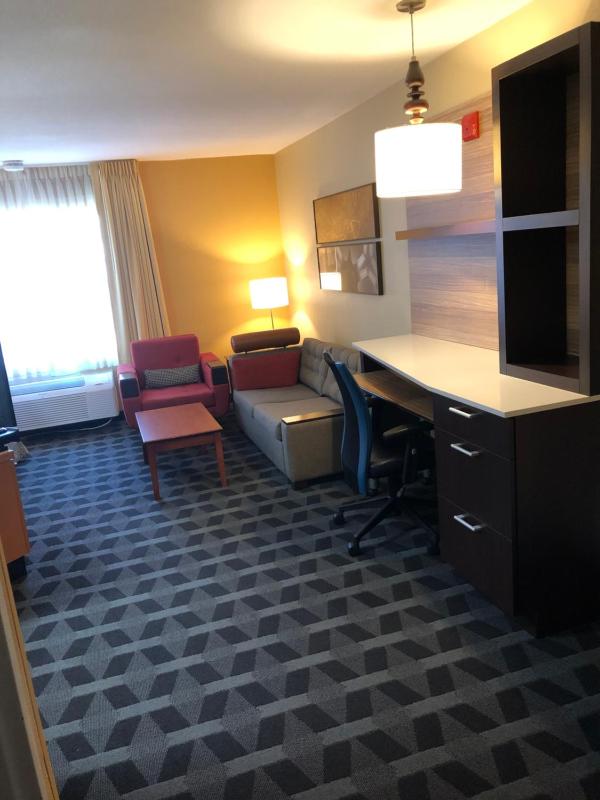 TownePlace Suites Tampa North I-75 Fletcher - image 3