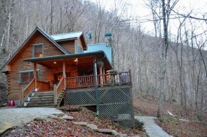 Nantahala Riverside Cabin cabin