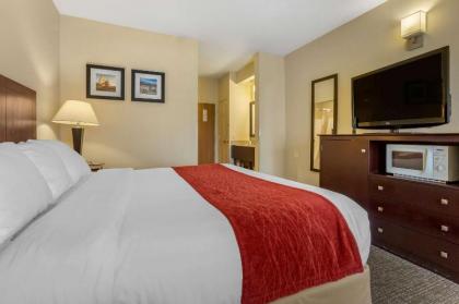 Comfort Inn & Suites North Tucson - Marana - image 9