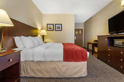 Comfort Inn & Suites North Tucson - Marana - image 10