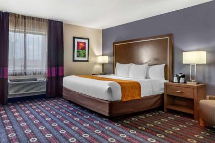 Comfort Inn Midtown - image 10