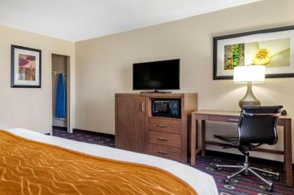 Comfort Inn Midtown - image 12