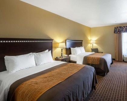 Comfort Inn & Suites Regional Medical Center - image 3