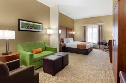 Comfort Suites Abingdon I-81 - image 6