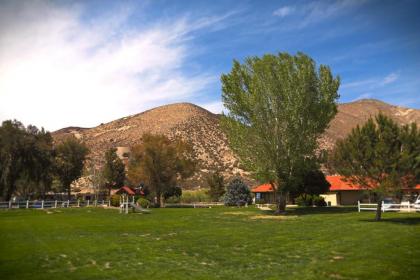 Soledad Canyon Studio Cabin 19 - image 11