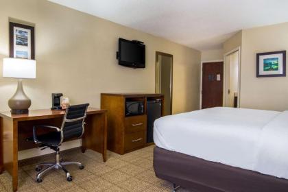 Comfort Inn - image 3