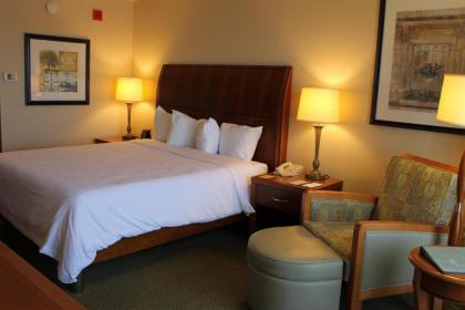 Hilton Garden Inn Addison - image 12