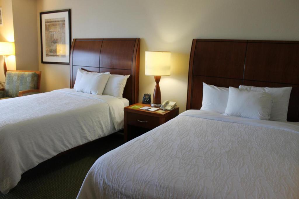 Hilton Garden Inn Addison - image 7