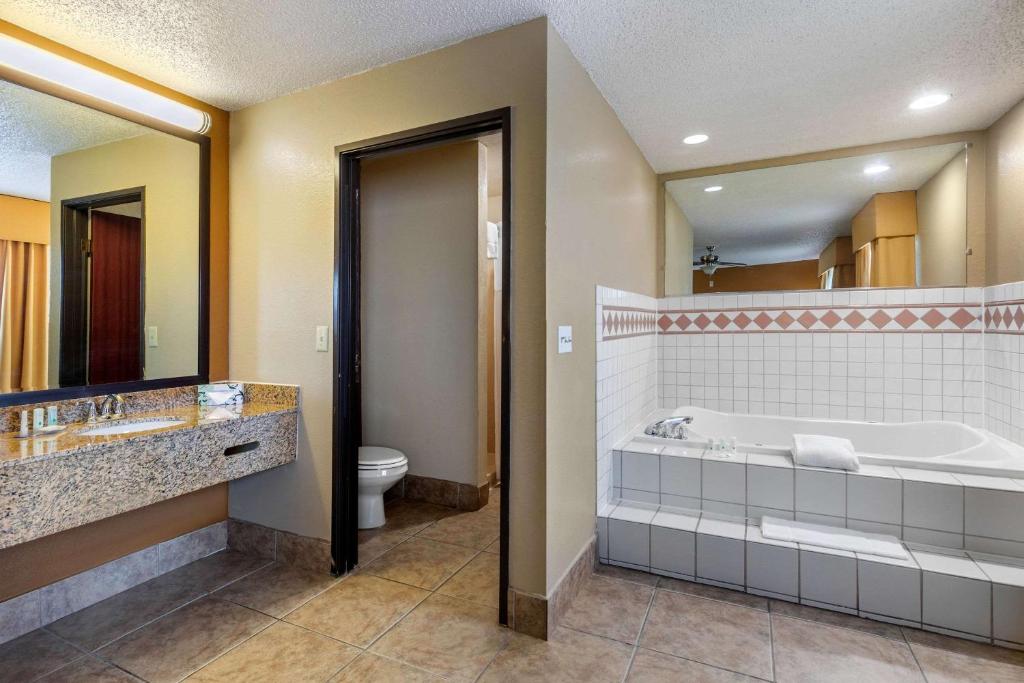 Quality Suites Addison-Dallas - image 6