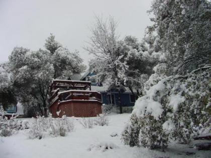 Apple Blossom Inn Yosemite - image 10