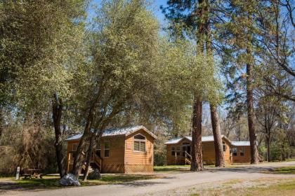 Sierra meadows Ahwahnee