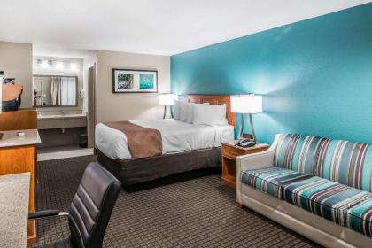 Quality Inn & Suites Near White Sands National Monument - image 10