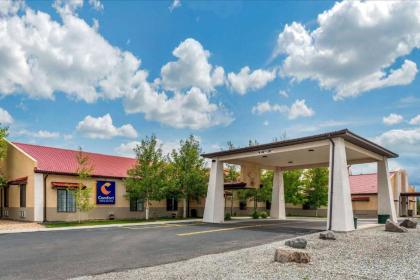 Comfort Inn  Suites Alamosa