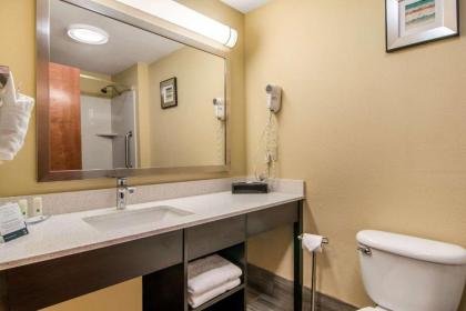 Quality Inn & Suites - image 3