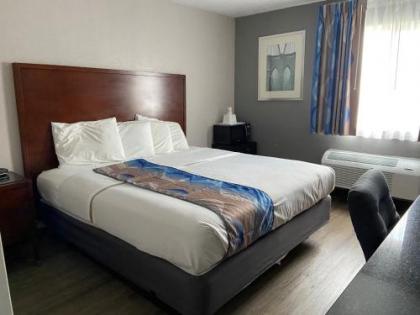 Travelodge Inn & Suites by Wyndham Albany - image 4