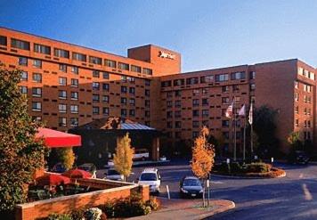 Marriott Albany - main image