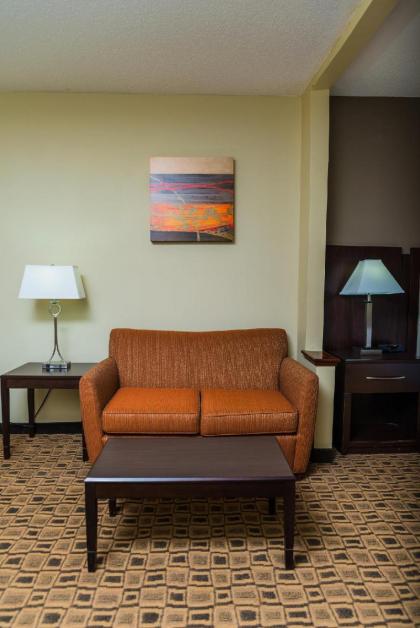 Holiday Inn Express Hotel & Suites Albemarle - image 6