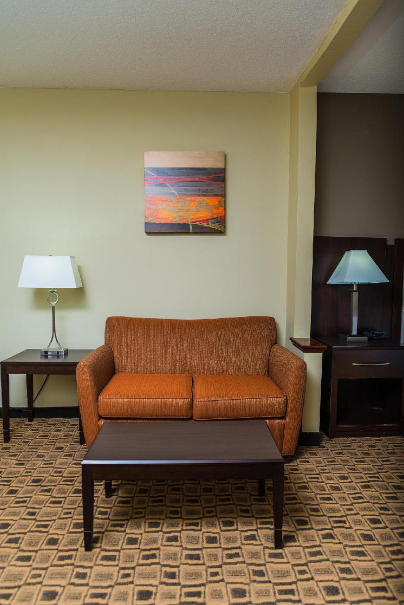 Holiday Inn Express Hotel & Suites Albemarle - image 6