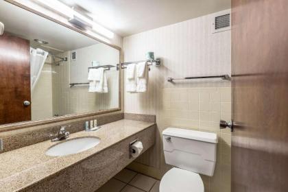 Quality Inn & Suites - image 12