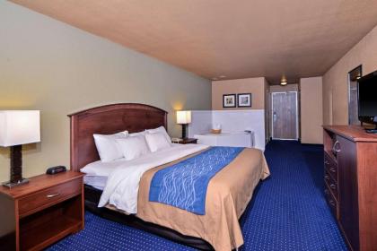 Comfort Inn Albert Lea - image 11