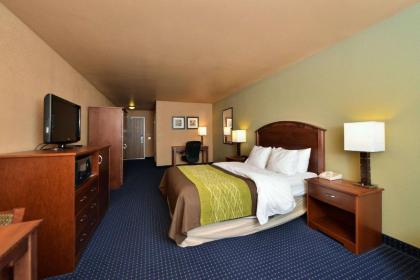 Comfort Inn Albert Lea - image 12