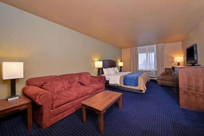 Comfort Inn Albert Lea - image 2