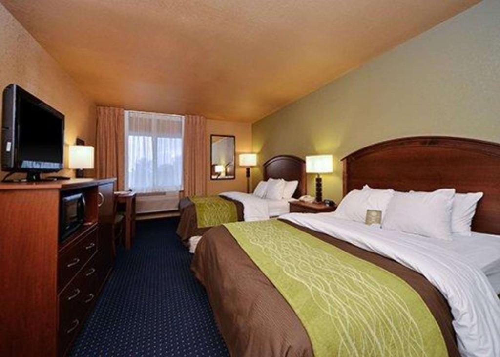 Comfort Inn Albert Lea - image 7