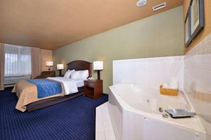 Comfort Inn Albert Lea - image 9