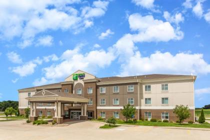 Holiday Inn Express - Albert Lea an IHG Hotel - image 1